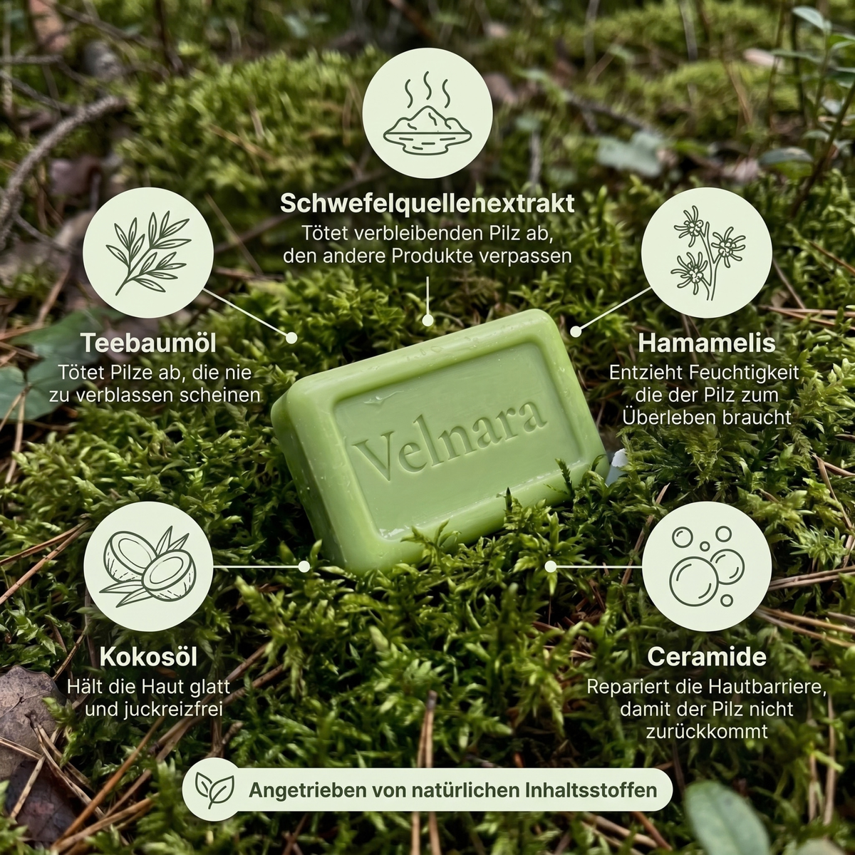 Velnara | Anti-Pilz-Seife